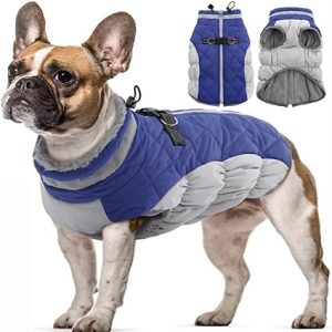 OUOBOB Chaqueta de invierno para perro, acogedora y reflectante
