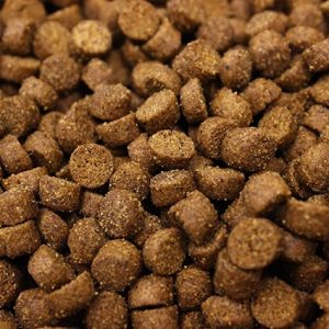 Higgins Intune Grain-Free Complete & Balanced Diet Ferret Food